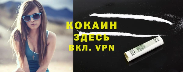 шишки Магас