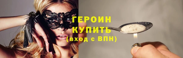шишки Магас