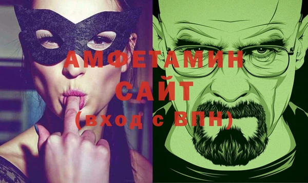 шишки Магас