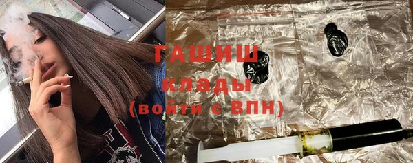 шишки Магас