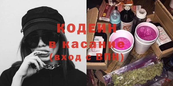 шишки Магас