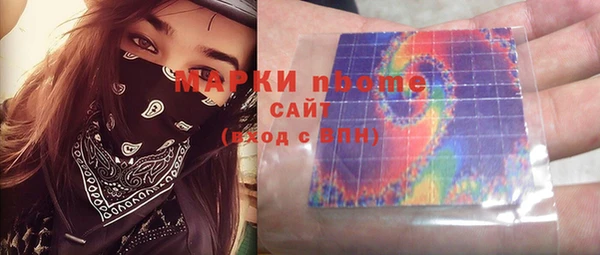 шишки Магас