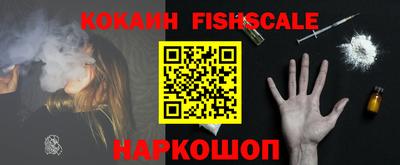 jwh Камышлов