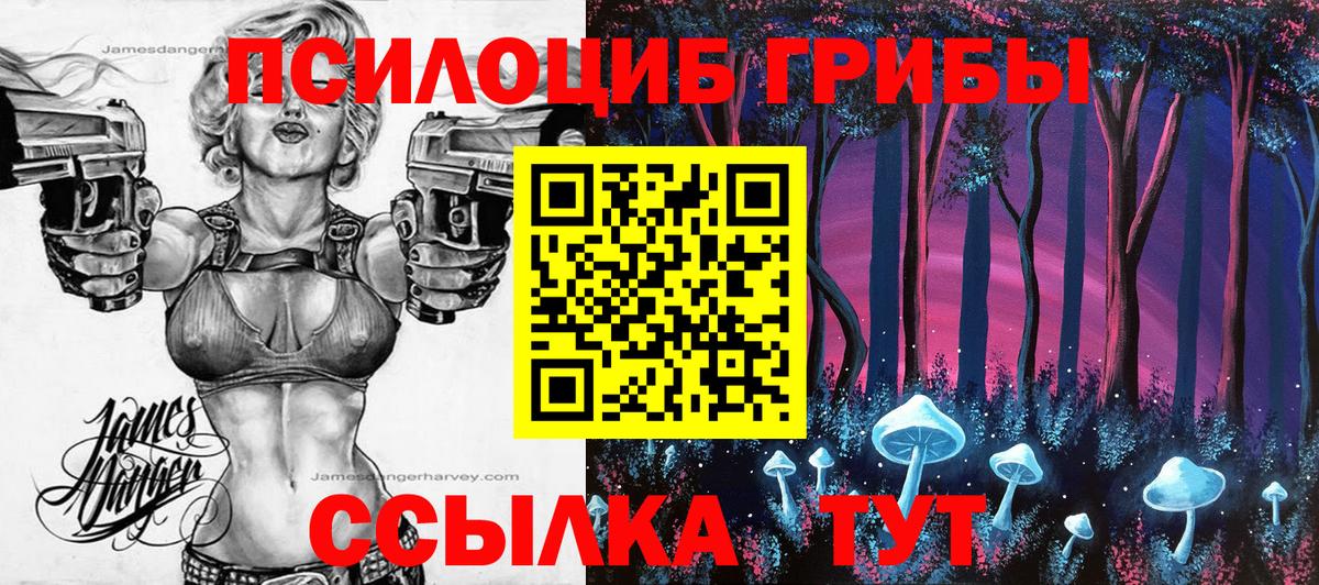 Новый Уренгой  Галлюциногенные грибы прущие грибы  Вход с VPN 